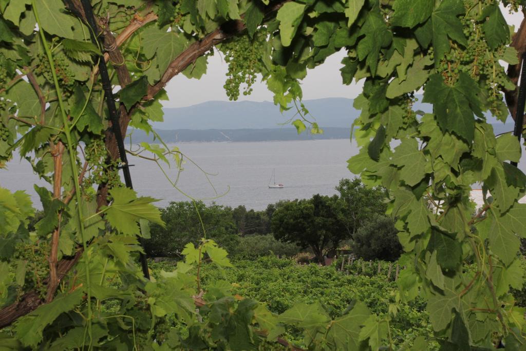 Holiday Home Vineyard House Bol Habitación foto